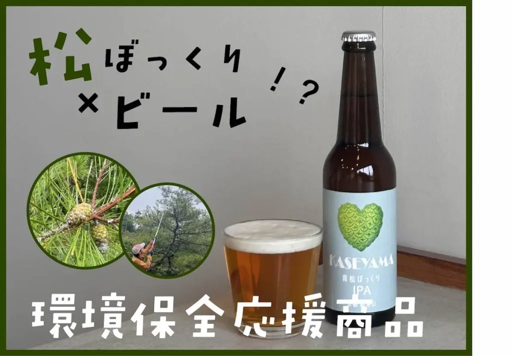 青松ぼっくり クラフトビール