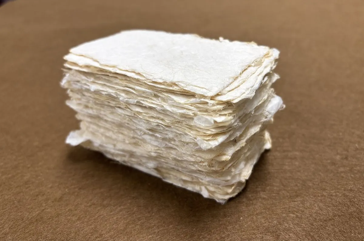 バナナペーパーの名刺をもっと手軽に! 「バナナフル」印刷代込みのセット販売を開始