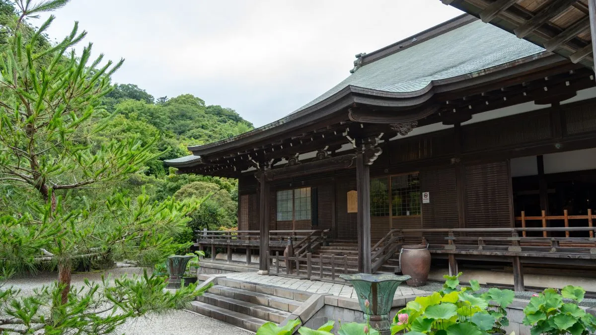建長寺 龍王殿にて文化催事「響き満ち 光入る」を開催 日本画・歌舞伎音楽・食文化を五感で体験