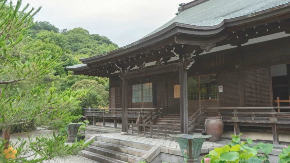 建長寺 龍王殿で日本文化の美を体感する特別催事「響き満ち 光入る」を開催