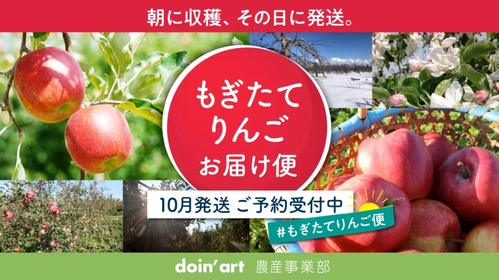 もぎたてりんご 農園直送 青森県藤崎町