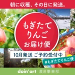 もぎたてりんご 農園直送 青森県藤崎町