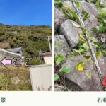 普済寺 石垣 復興
